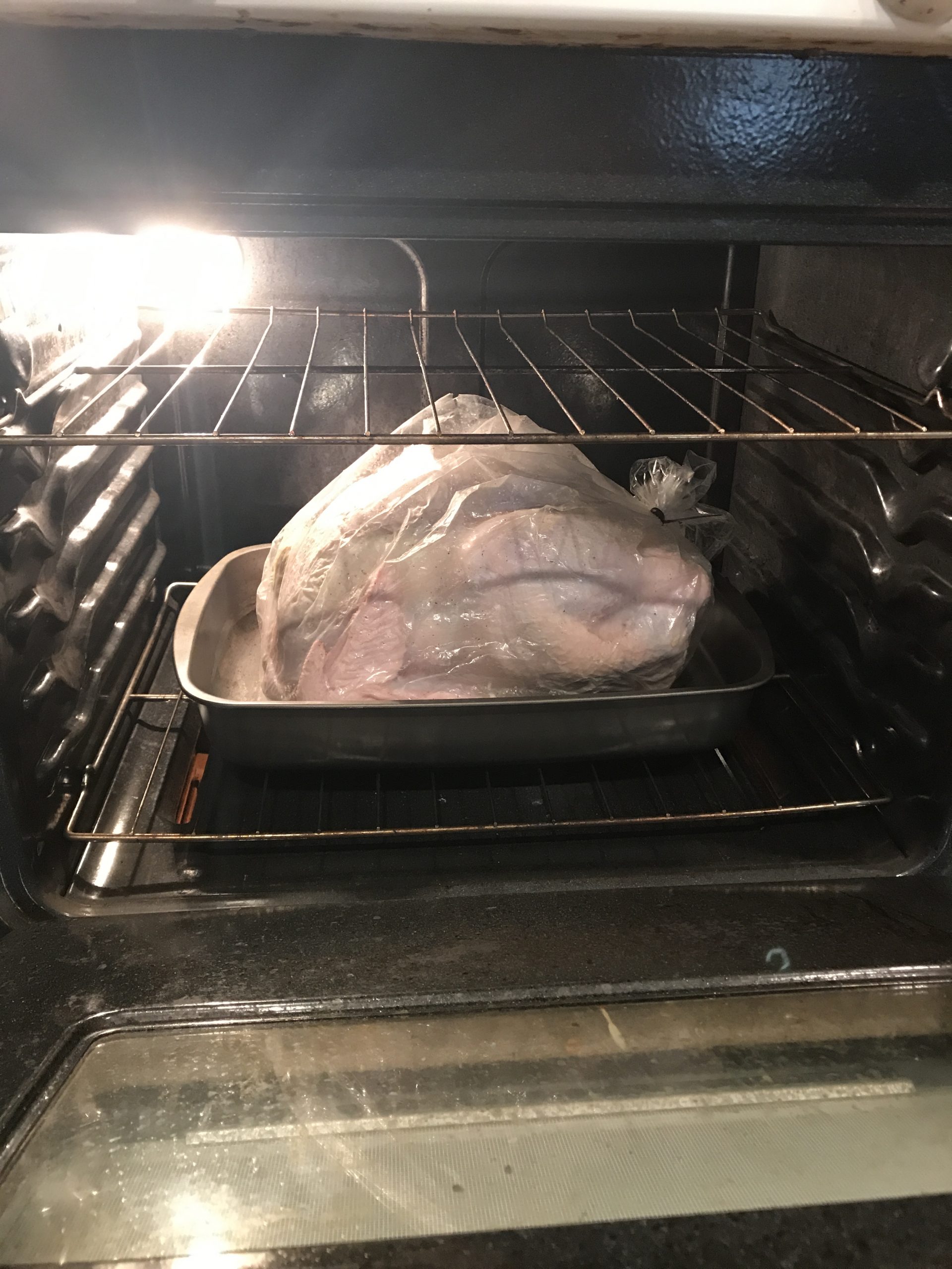 Turkey in Oven